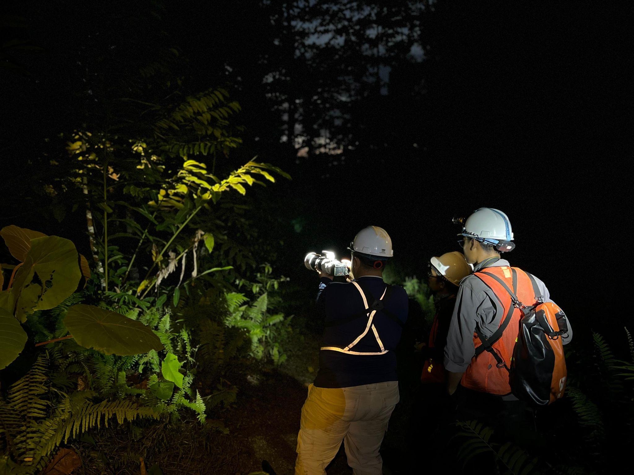 Pemantauan fauna